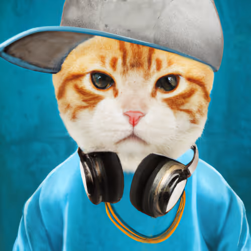 Worldofcatsclub