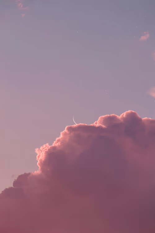 Item #9516099056367242152996622501750151802451978225621664057436231453355423039489 Media