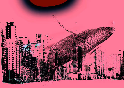 Item #104099004194732186528107260891908231378147874233508203101203207541229885587457 Media