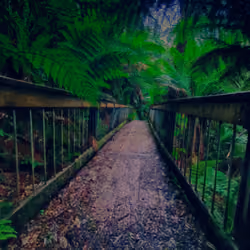 Time to cross the bridge 