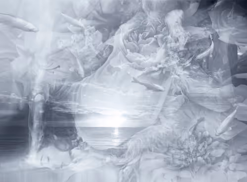 Item #18993615763390463033979687872498164096734625998476576353154671987062118285313 Media