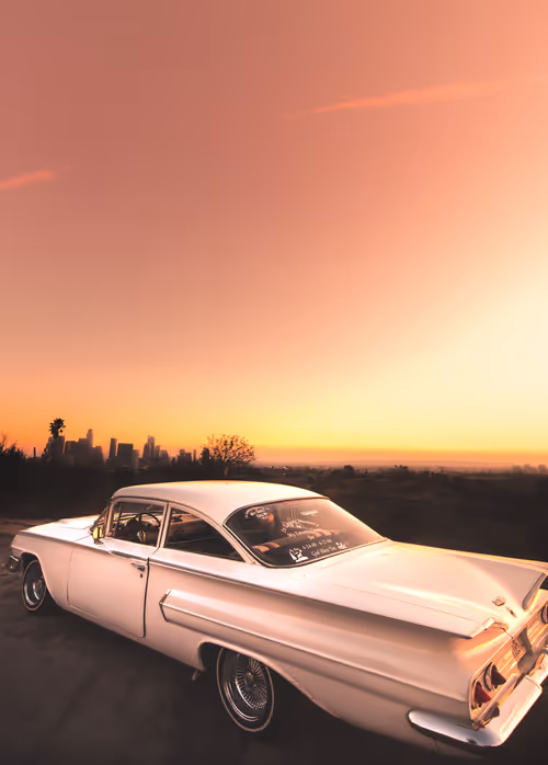 Item #91501497008151221125596935841676000512183505427004855270702190562060034637825 Media