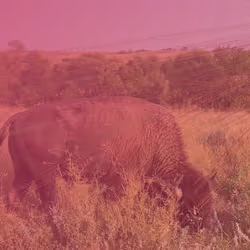 105089968166921690156624725616502706642431777719922472152070405812922244661249