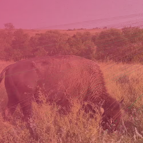 105089968166921690156624725616502706642431777719922472152070405807424686522369