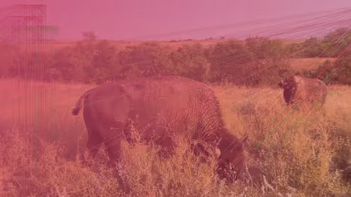 Item #105089968166921690156624725616502706642431777719922472152070405812922244661249 Media