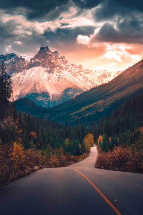 Item #62546128571173573861370652936856218284243546780344801453551937505823316508673 Media