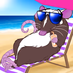 Lil Ratties - Series #10 - Beach Rats - All Natural