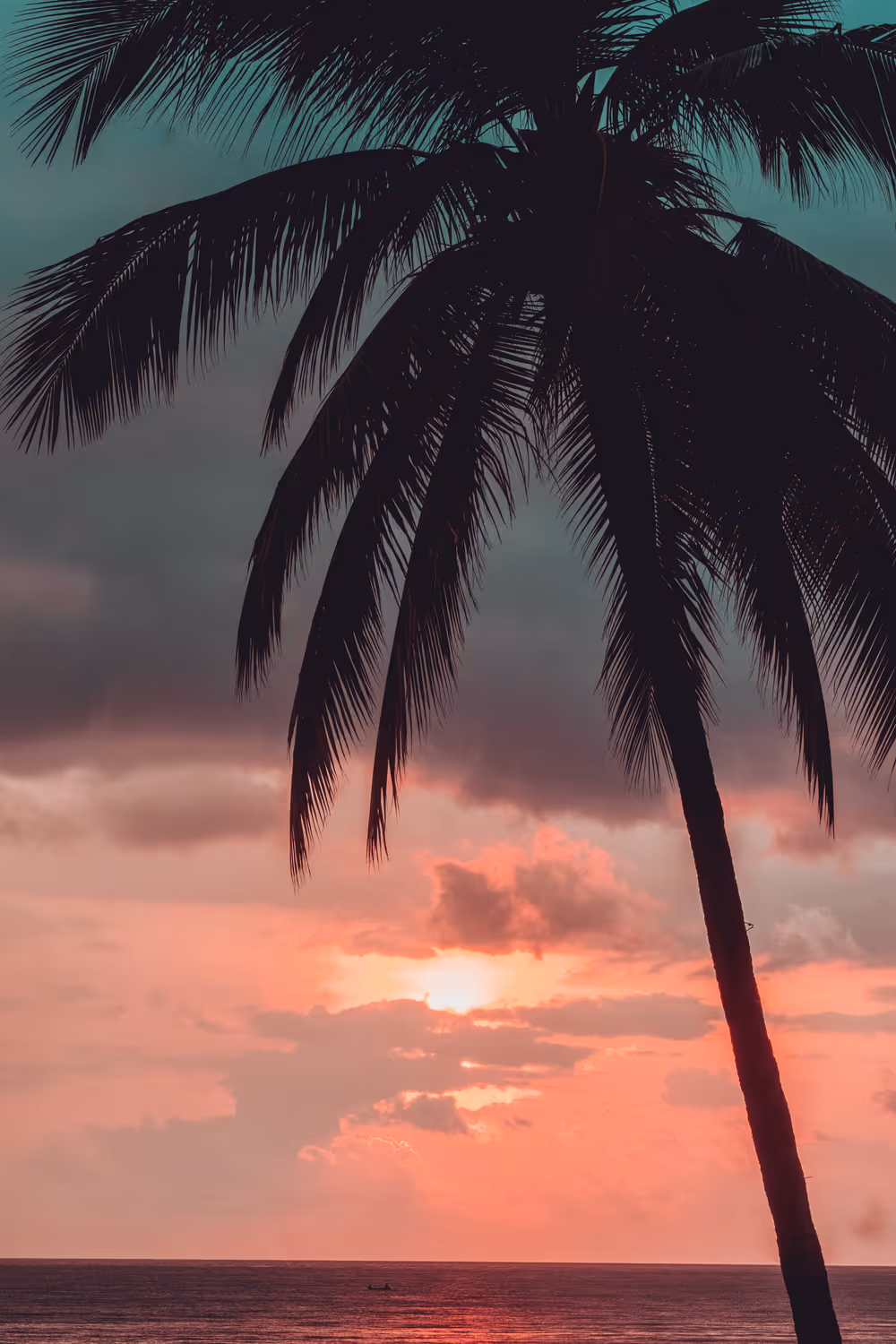 Somewhere Else: 084 - Tequila Sunset