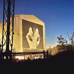 Wall Wolf