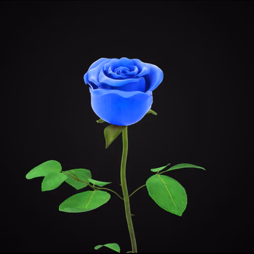 Rose #3