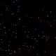 5201157021566575506082251039347569803339772973440335190465183630536627716097
