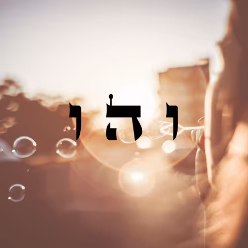 Item #60261209402415139582755570421670089329548312864668202741056927093909060845569 Media