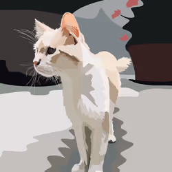 Little Cat - Ischia, Italy