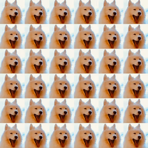 Item #919881104117818023937162122873745772427003128789095818032177433095979401217 Media