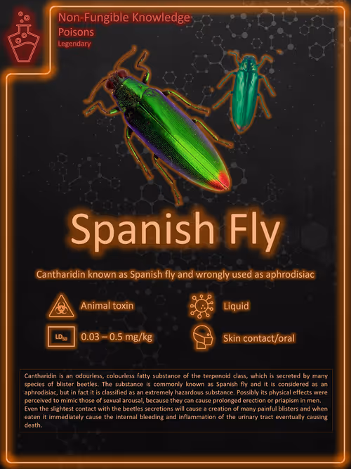 Item #94280673873177462608162102439760652801338708629220639874744065265927760904193 Media