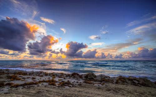 Item #5159867049349733485857806564982430960448309033464066462878907918238590435329 Media