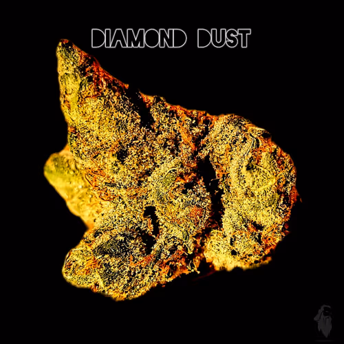 Item #87689570283297516471900235800511228078692535605346005540316604154318405238785 Media