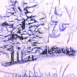 Return to innocence 15