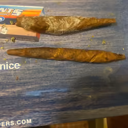GANJA & REEFER