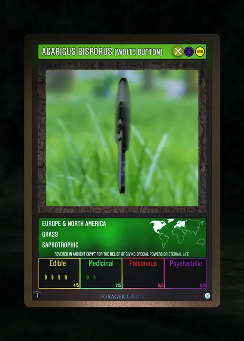 Item #73412372274297784710279054145181842019162569346562246022835392852761681854474 Media