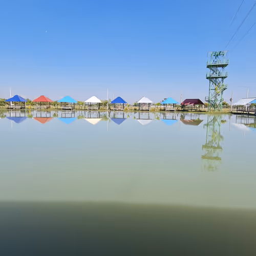 សួនកំសាន្តជន្លង់ម្លូរ 