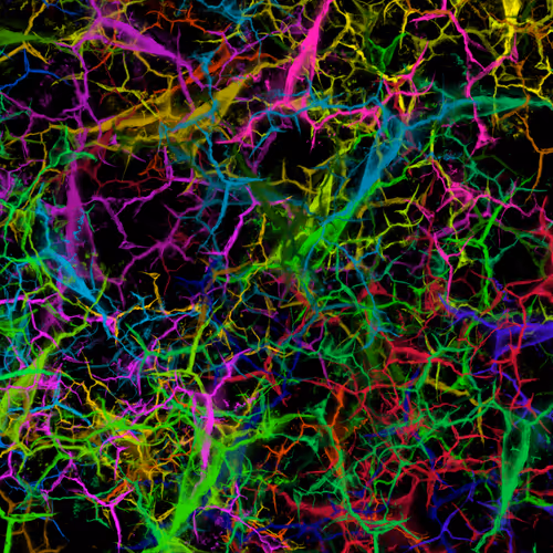 Item #50918555062582210159273167721725581522404743190091886750106034858604353290241 Media