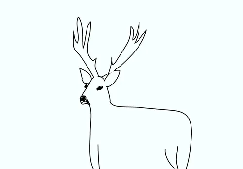 Item #16856792038433310560442353969730674754691862844441676398277363904727656431617 Media