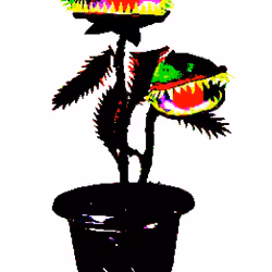 Carniv Plant #10