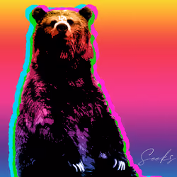 HYPER Bear