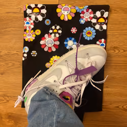 nice kicks kid