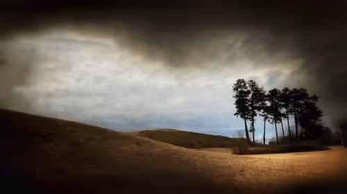 Item #82086394152813496729852745644400301310809698688948886085589871408726241443841 Media