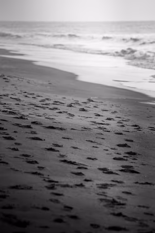 Item #87014449869533570037258101988122133423496035447680150931597385522353375543297 Media