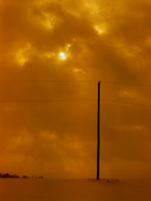 Item #104036062148512439184132714077896509031286887957779838071492283822362354253825 Media