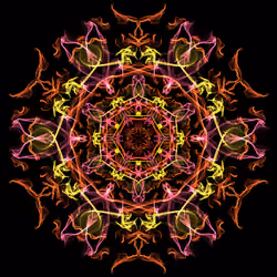 Void #197