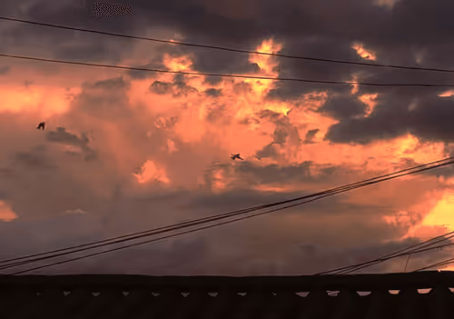 A MIDSUMMER NIGHT'S DREAM