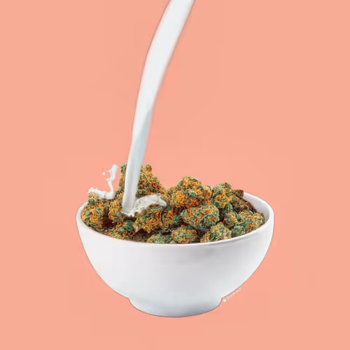 Item #276618171581163995688451181711762959038558310937804576463711692225966505985 Media