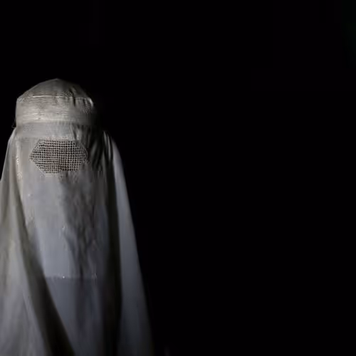 Untitled Collection #29608892