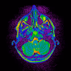 64162533542198579898252916190583583845604629893829087458582975819459785129985