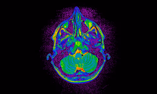 Item #64162533542198579898252916190583583845604629893829087458582975819459785129985 Media