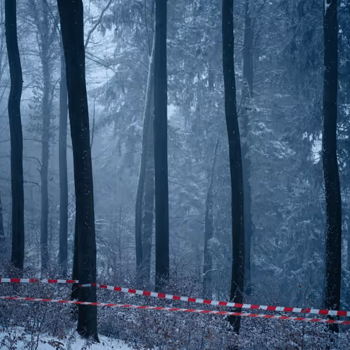 109162157552346088047496633038404394118504199992061596446112929615025780293633