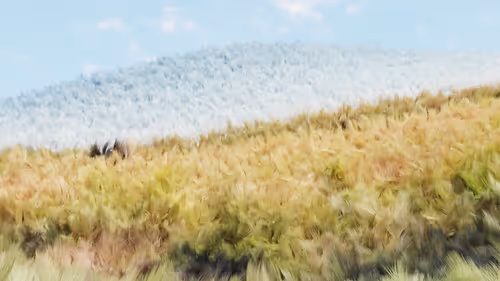 Item #7492014197175371295993437747185923975564654594515035294338329647566515339265 Media