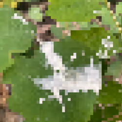 2850415134272365380187775685678842410458265265709128331682257478787979542529