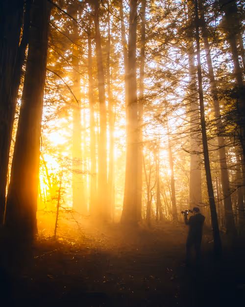 Item #99379921276153973634104125152908526548510783699959858376338453563409476616193 Media