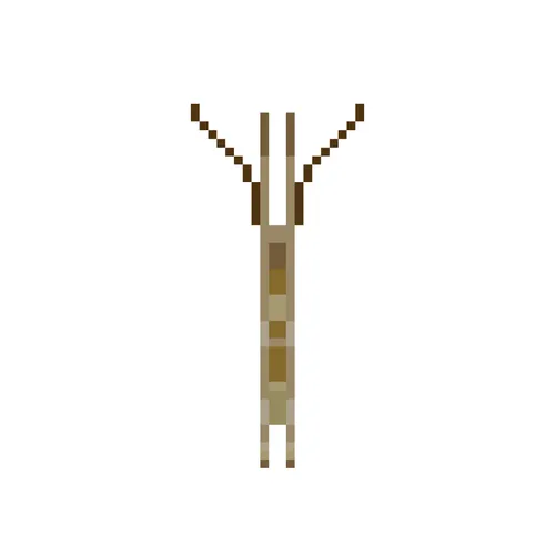 Item #56039846632117191797857568560233372121149617945604955721346360202330810351617 Media
