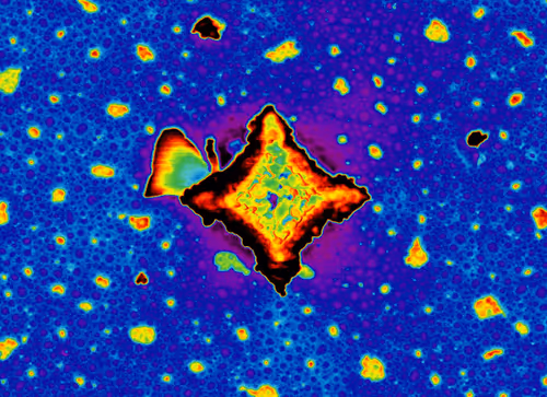 Item #88425369129469894980589771095889463825406609439564309002072926018094489403393 Media