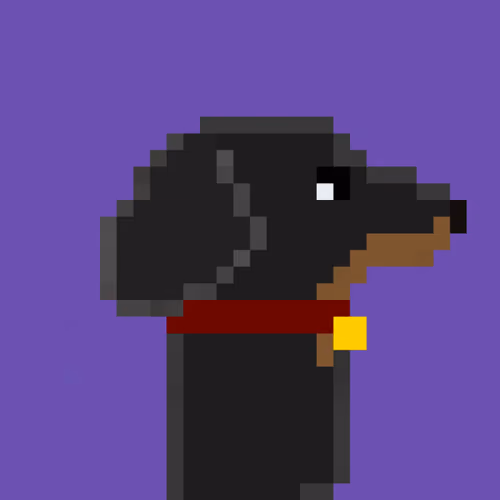 DachshundPunk #027