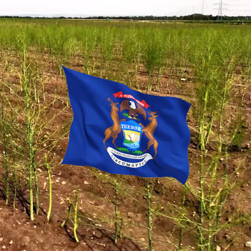 Item #66014886227560344638299723756269507276387272419138927399704737837207290642433 Media