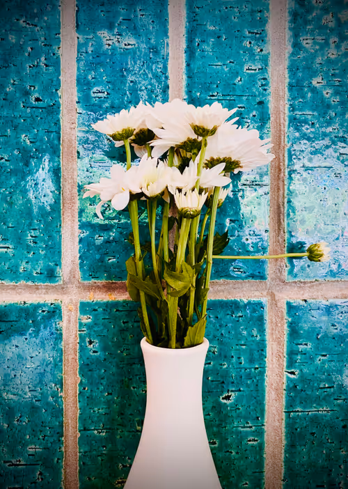 Item #68021680421370609917971695803708180506045537231368972803899735106516162707457 Media