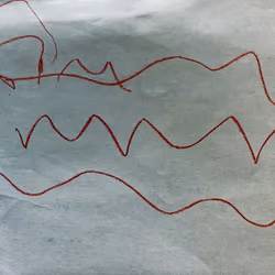 A story about an eel.