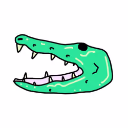 The Croc